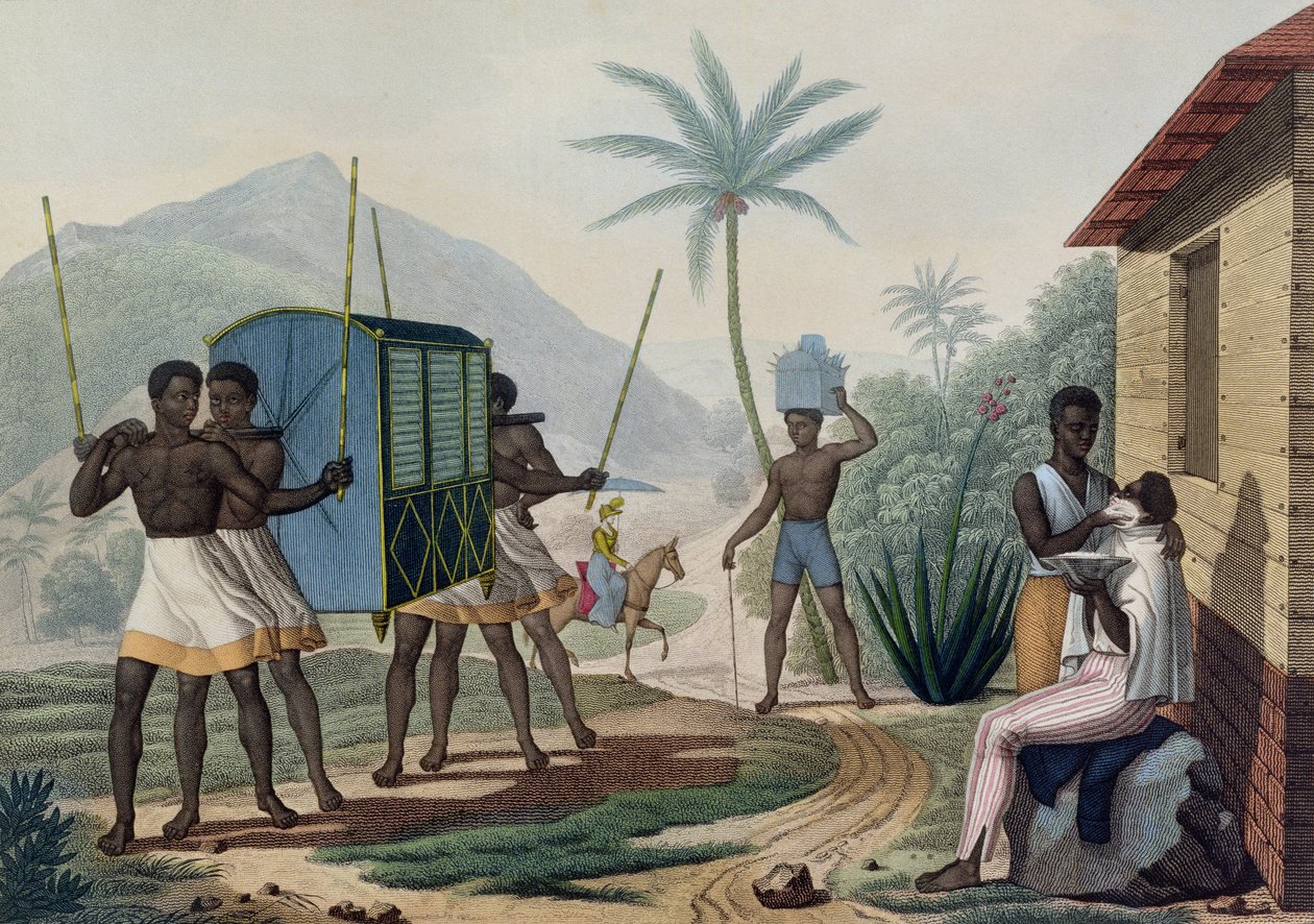 A Palanquin being Carried in the Ile de France (from 