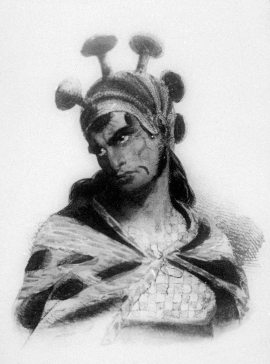 Hawaiian Warrior Wearing a Helmet with a Mushroom Ornamented Crest by Jacques Etienne Victor Arago