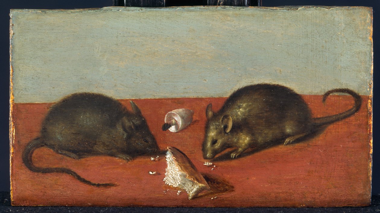 Mice, c.1600 by Jacques II de Gheyn