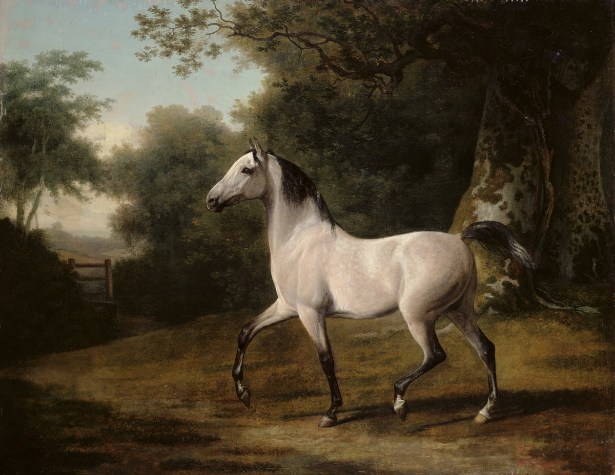 A grey Arab stallion in a wooded landscape by Jacques Laurent Agasse