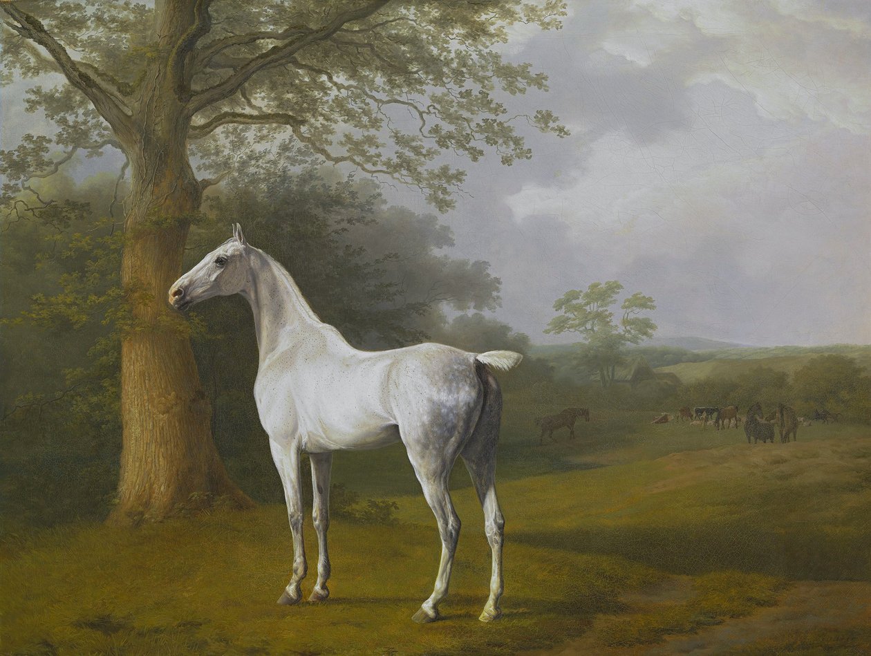 Gray Horse in Pasture by Jacques Laurent Agasse