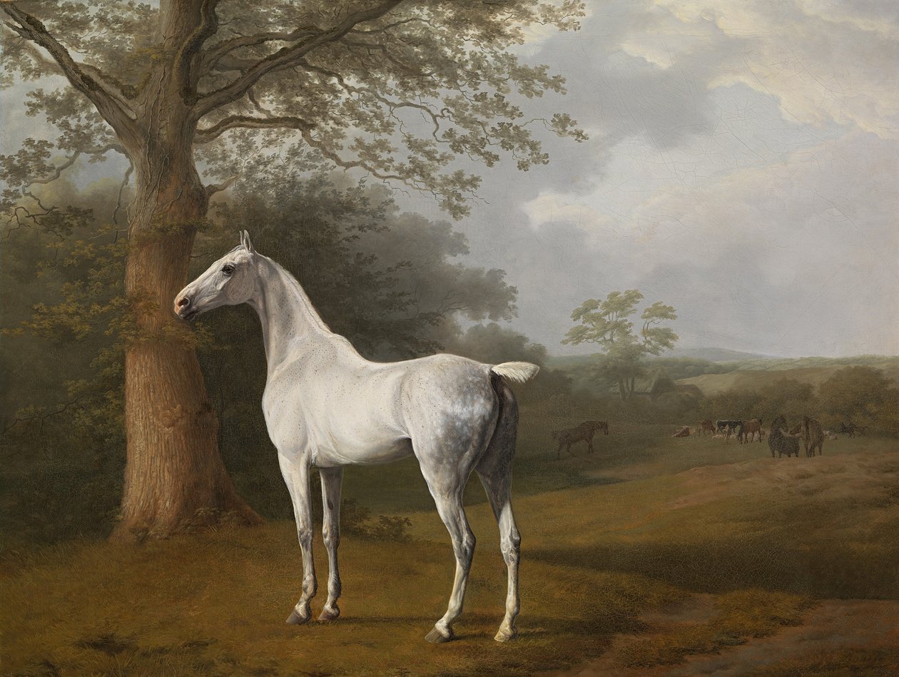 Gray Horse in the Meadow by Jacques Laurent Agasse