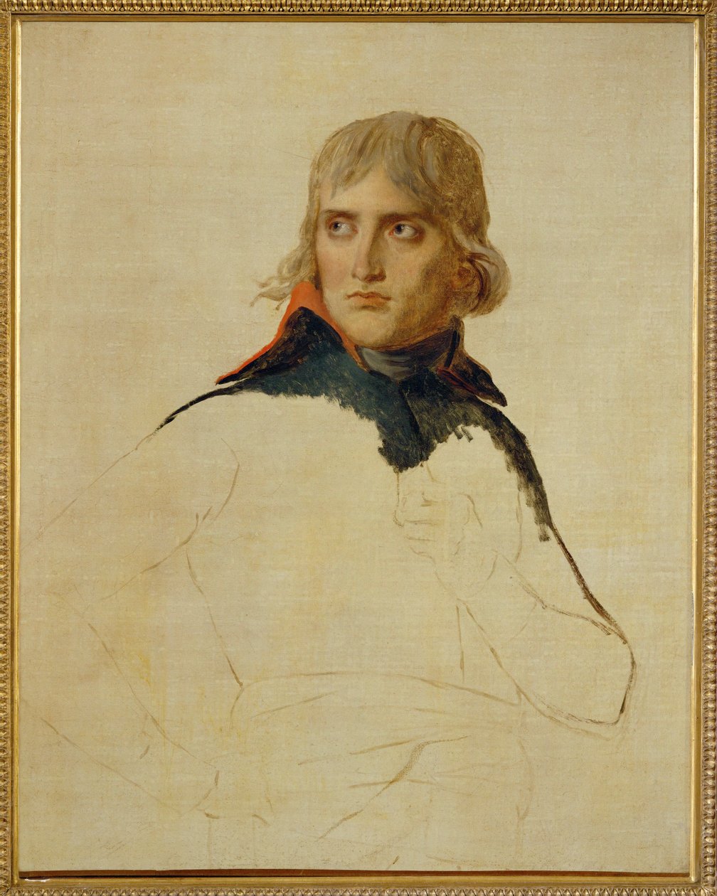 Napoleon Bonaparte by Jacques Louis David