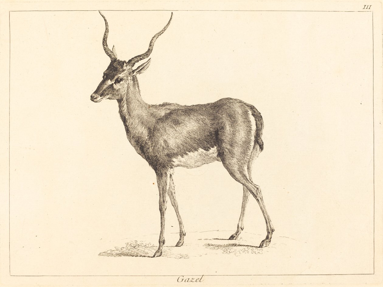 Gazelle by Jacques Philippe Le Bas and Jean Eric Rehn after Jean Baptiste Oudry