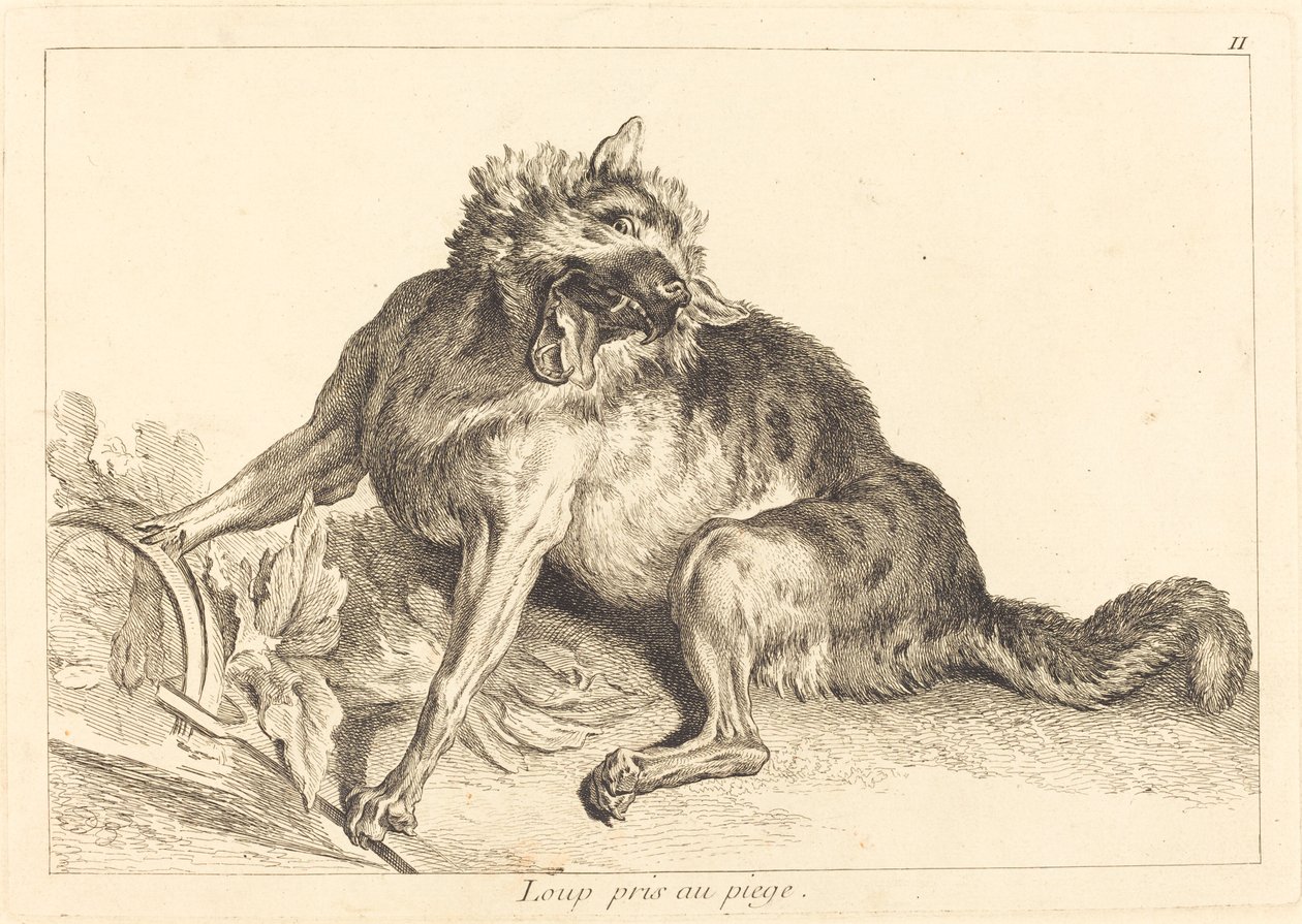 Wolf Caught in a Trap by Jacques Philippe Le Bas and Jean Eric Rehn after Jean Baptiste Oudry
