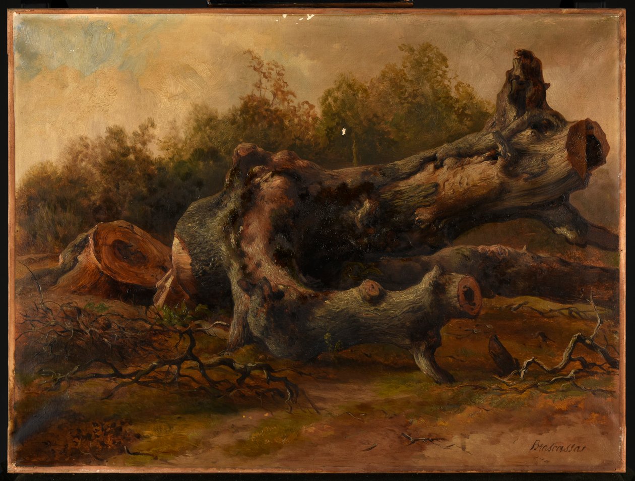 Cut Tree by Jacques Raymond Brascassat