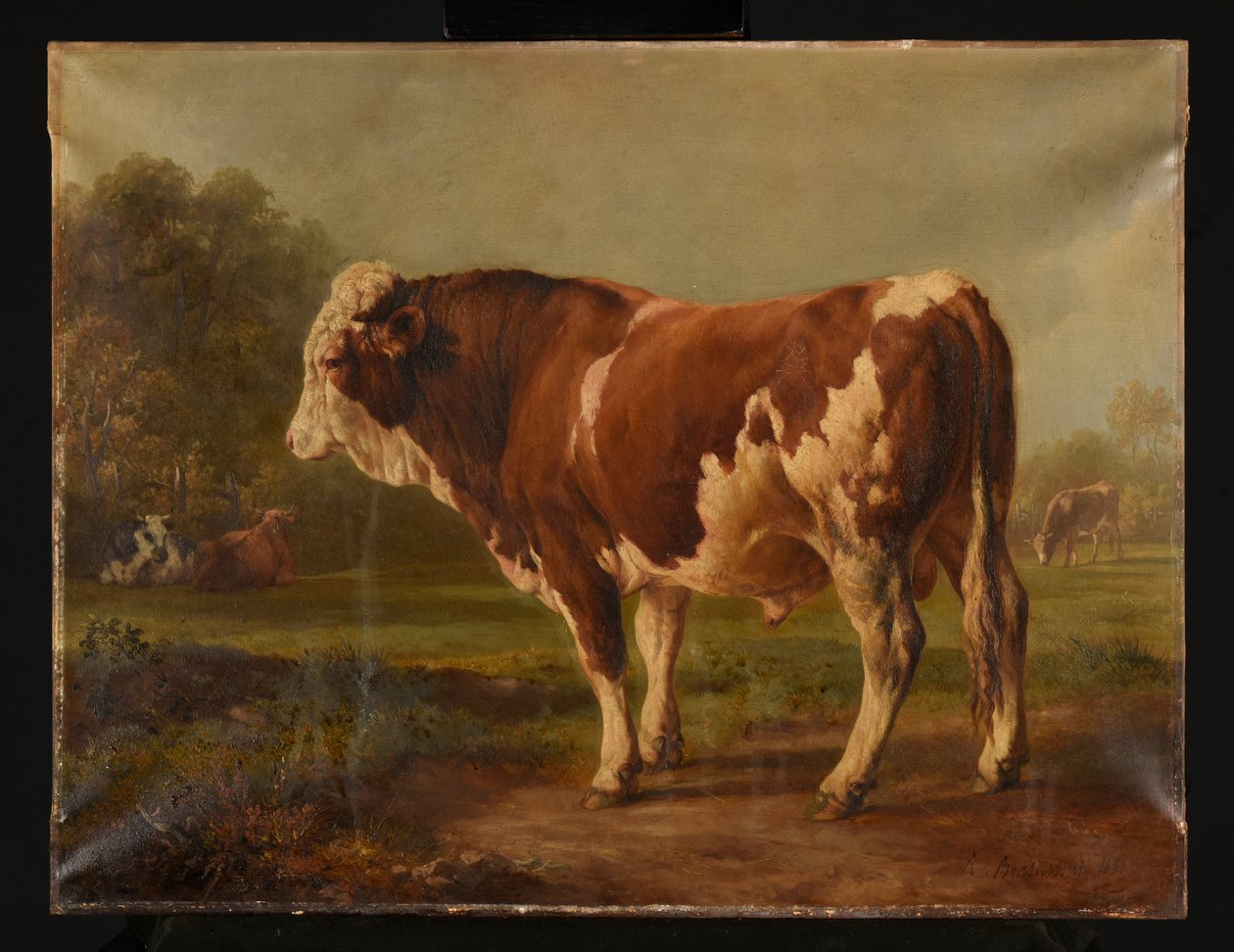 Young Bull by Jacques Raymond Brascassat