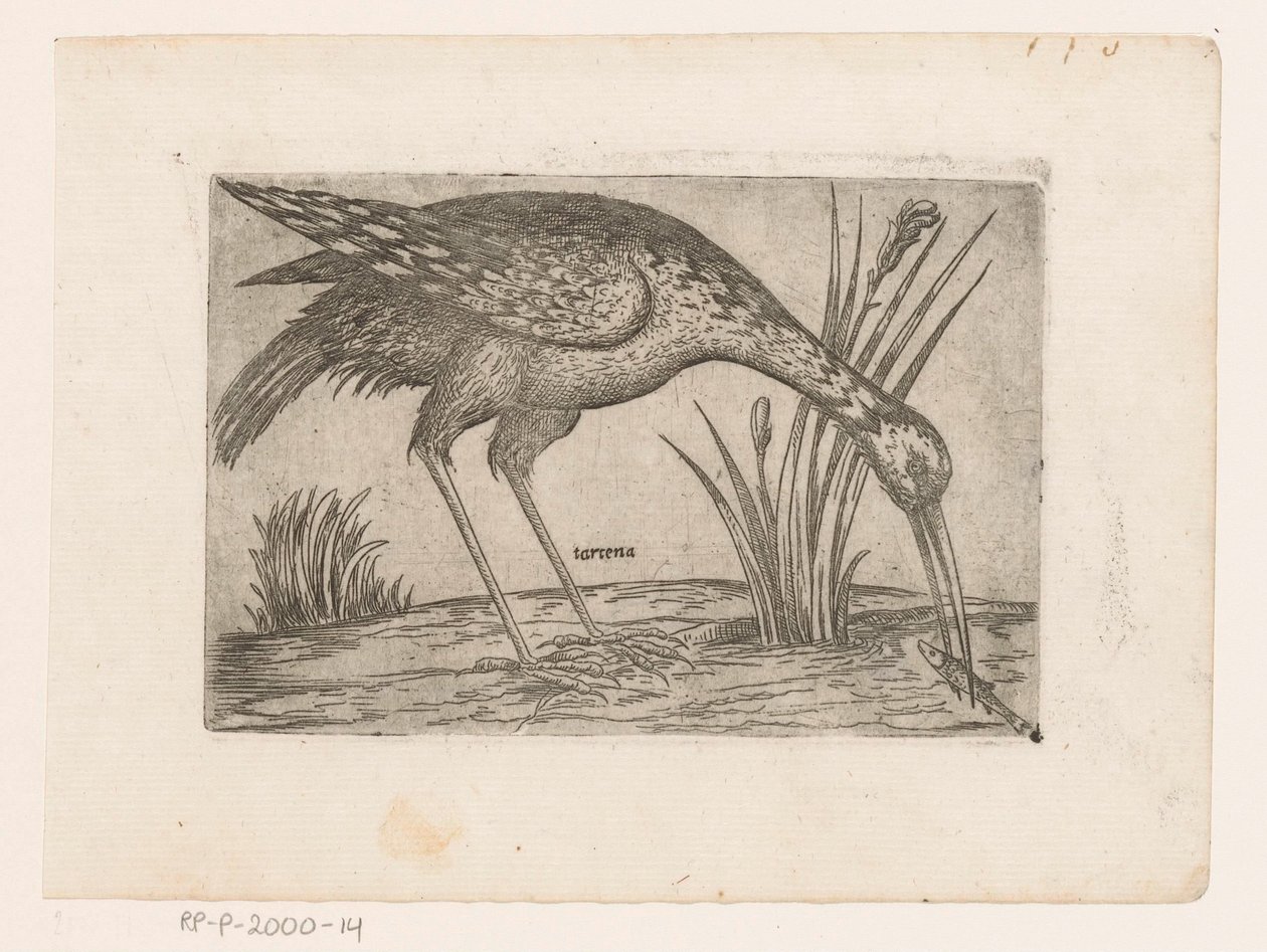 Bird by Jacques de Fornazeris (possibly)
