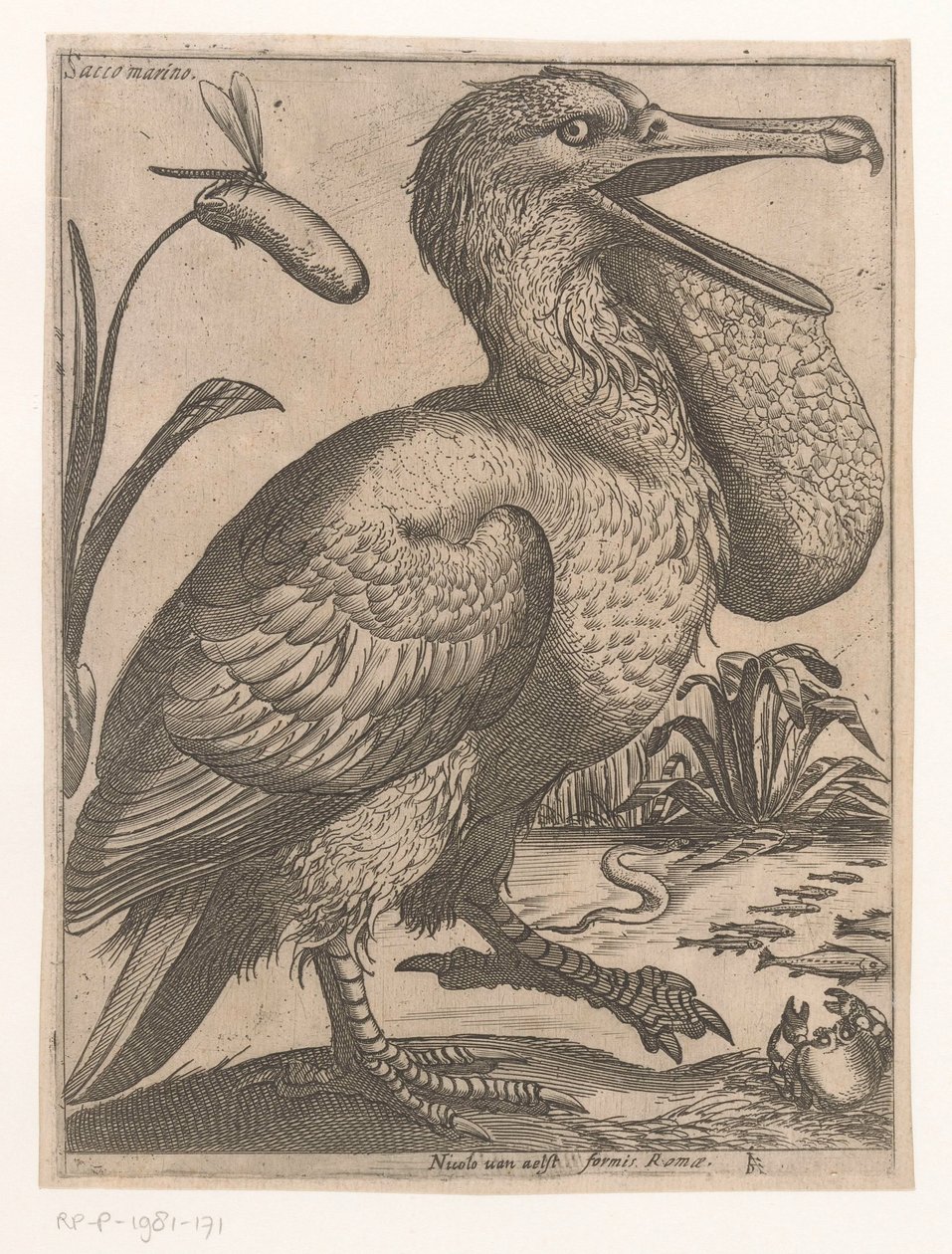 Water Bird by Jacques de Fornazeris