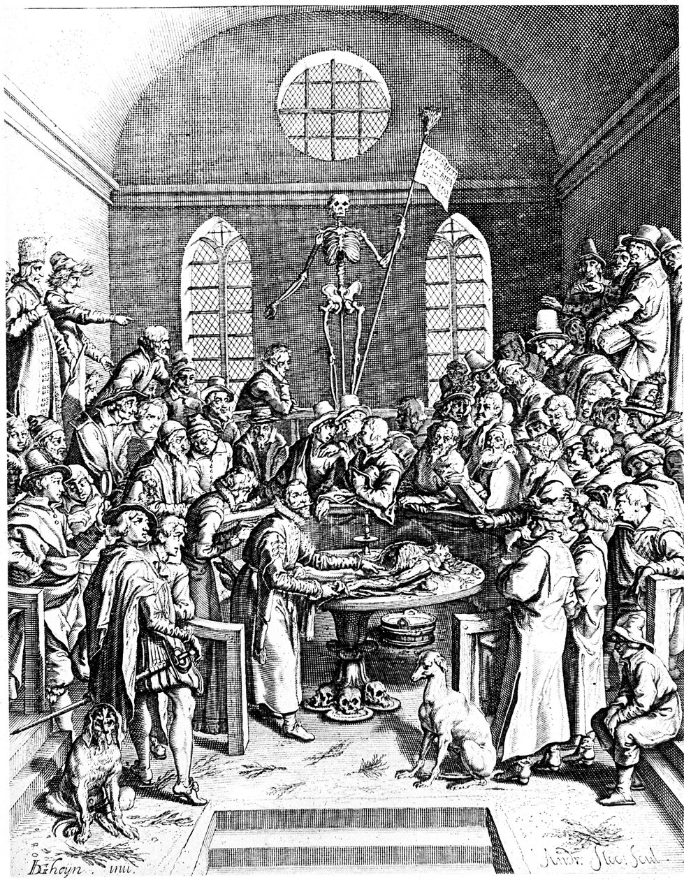 Late 16th Century Anatomy Theatre, Jacques de Gehyn the Elder, 1633 by Jacques de Gehyn the Elder