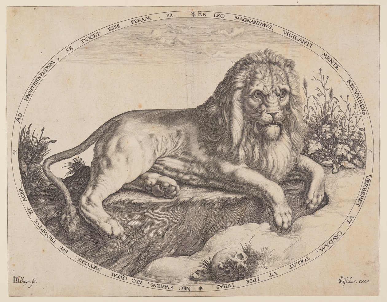 The Great Lion by Jacques de Gheyn II