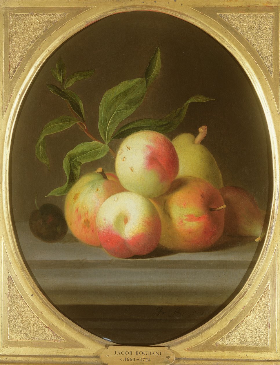 Apples on a Shelf by Jakob Bogdani or Bogdany
