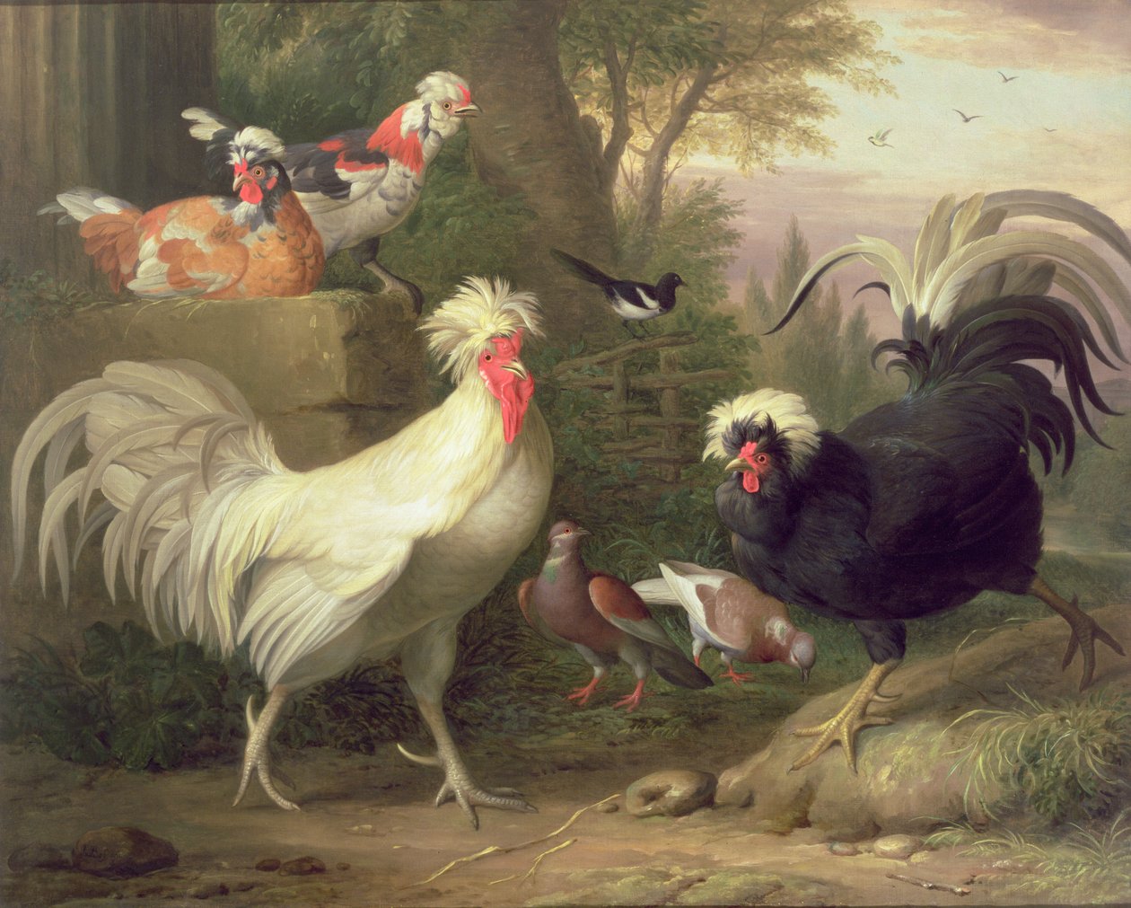 Cockerels and Pigeons by Jakob Bogdani or Bogdany