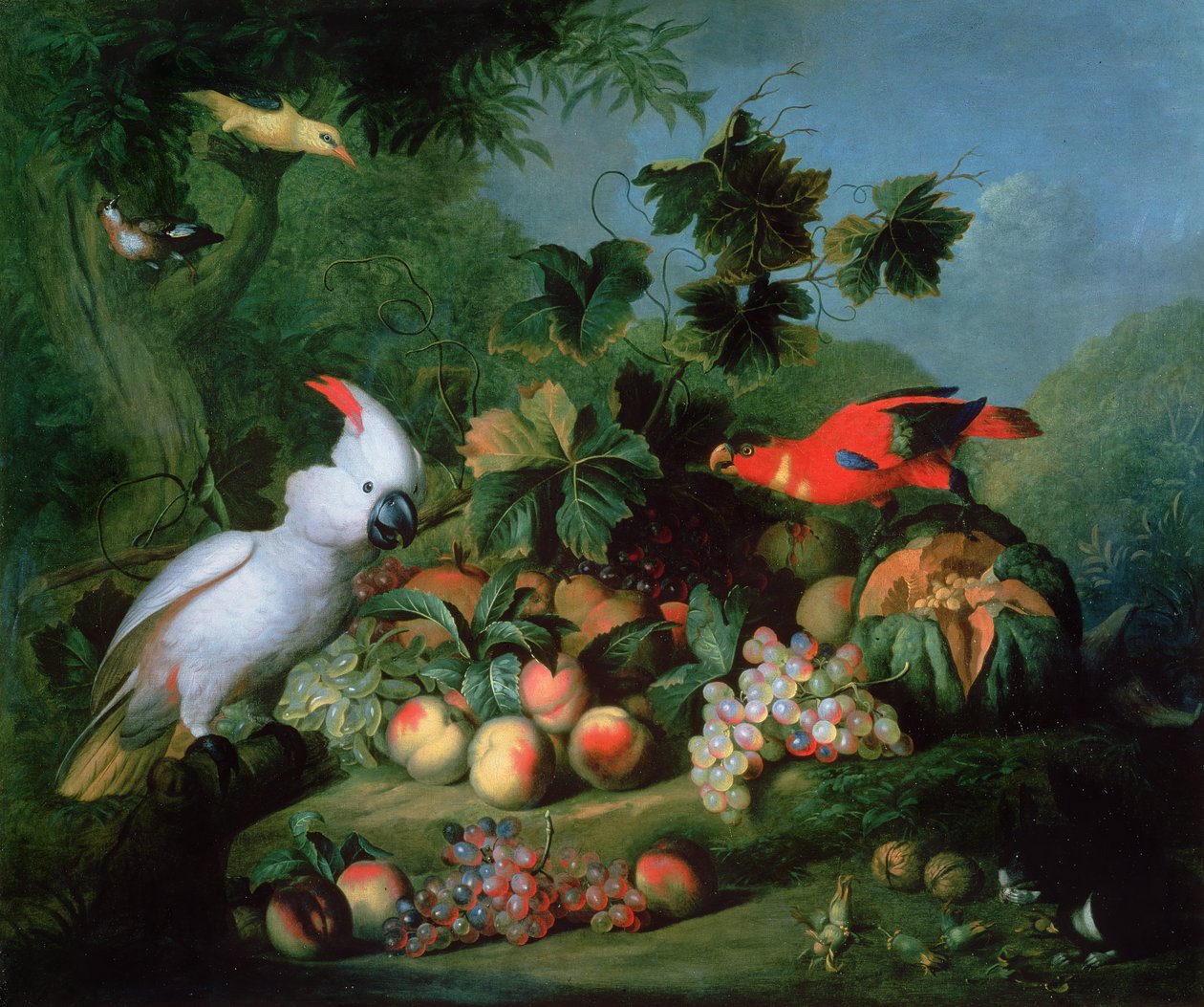 Fruit and Birds by Jakob Bogdani or Bogdany