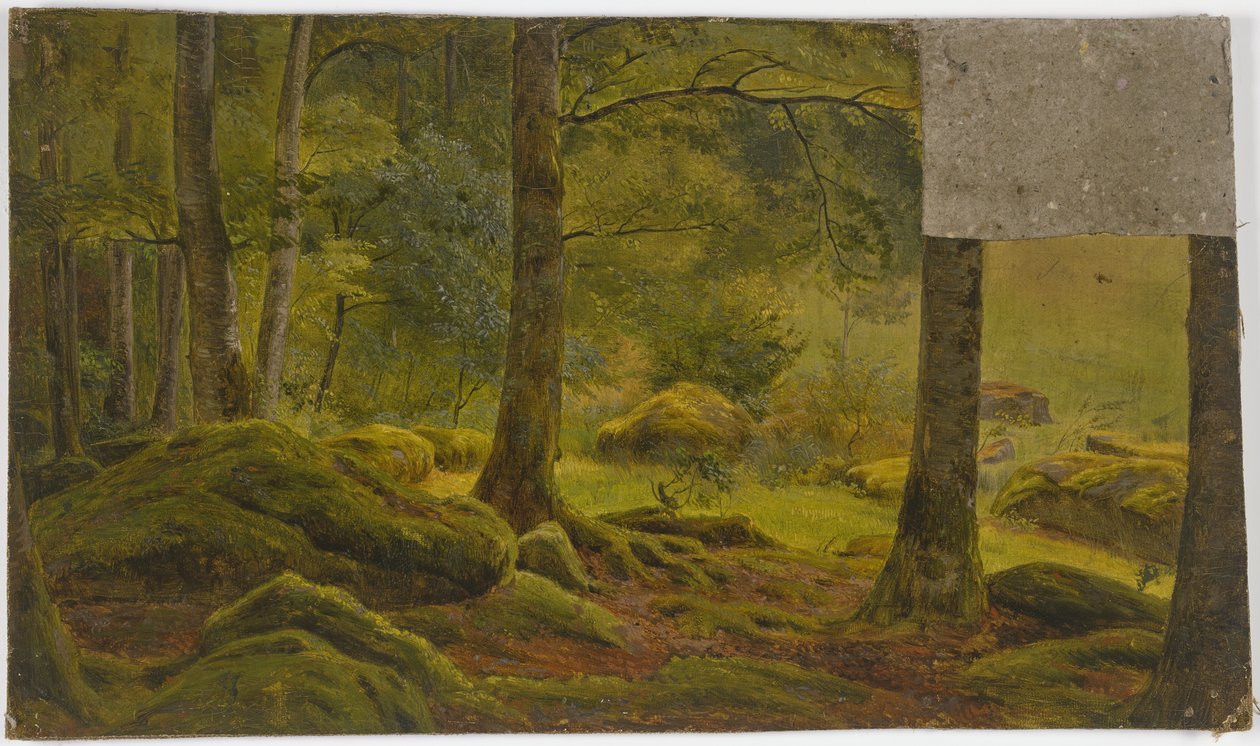 Inside a Forest by Jakob Becker