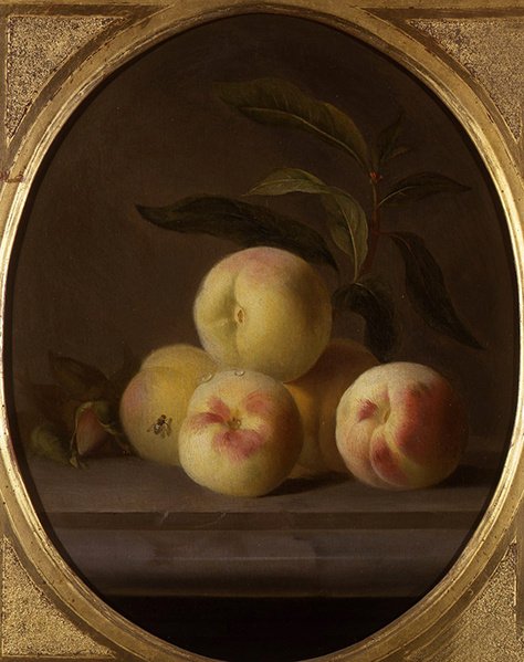 Still Life of Fruit with a Fly by Jakob Bogdani or Bogdany