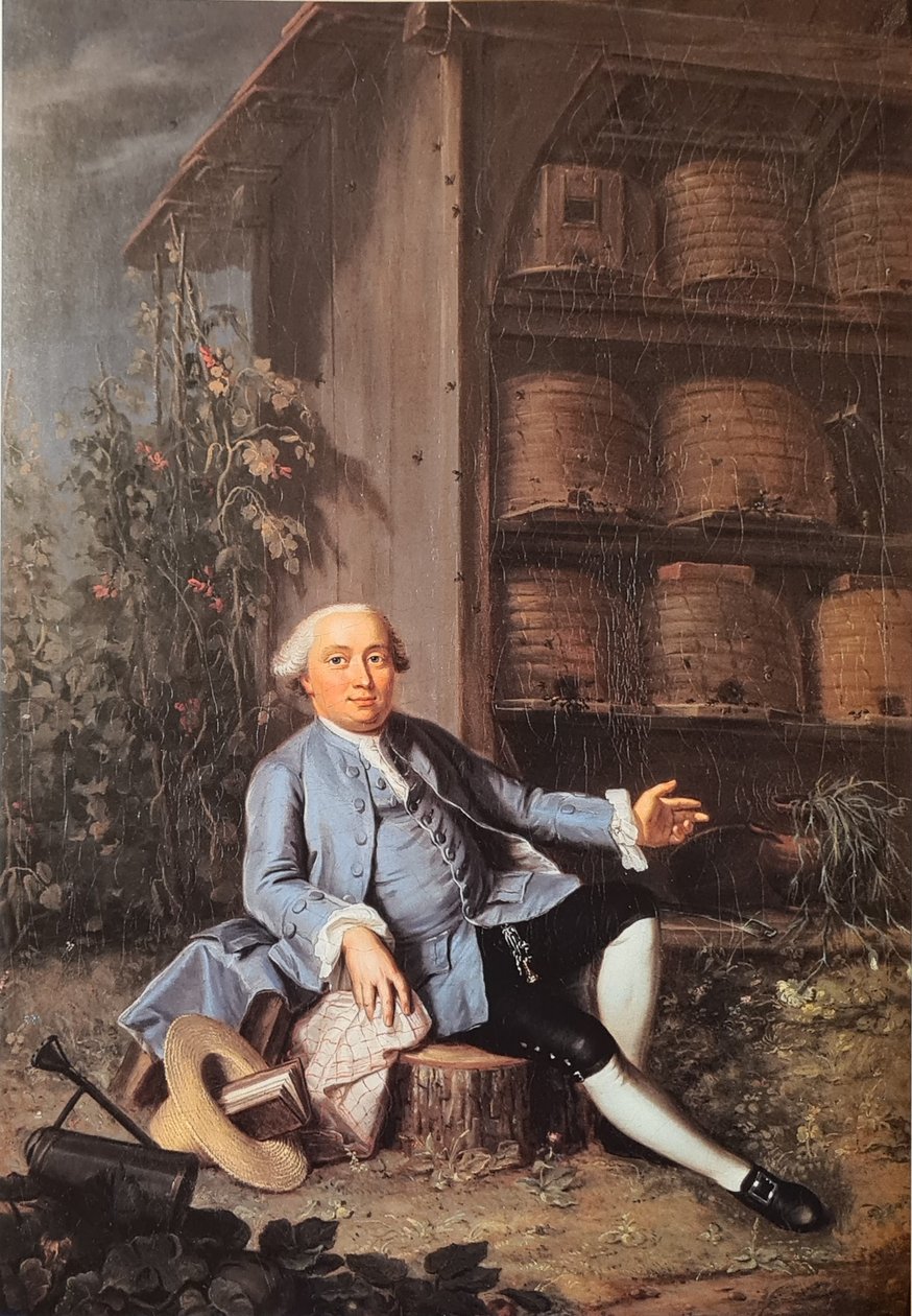 Portrait of Vincenz Frisching (1727-1790), Member of the Great Council, Landowner in Uttigen by Jakob Emanuel Handmann