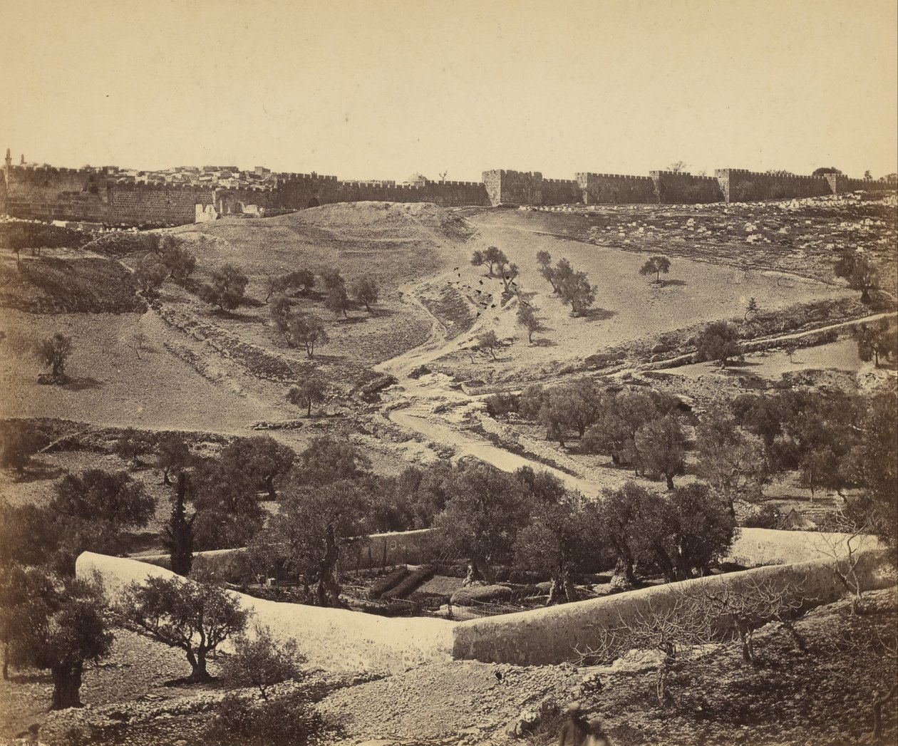 Jerusalem. Garden of Gethsemane by James Robertson