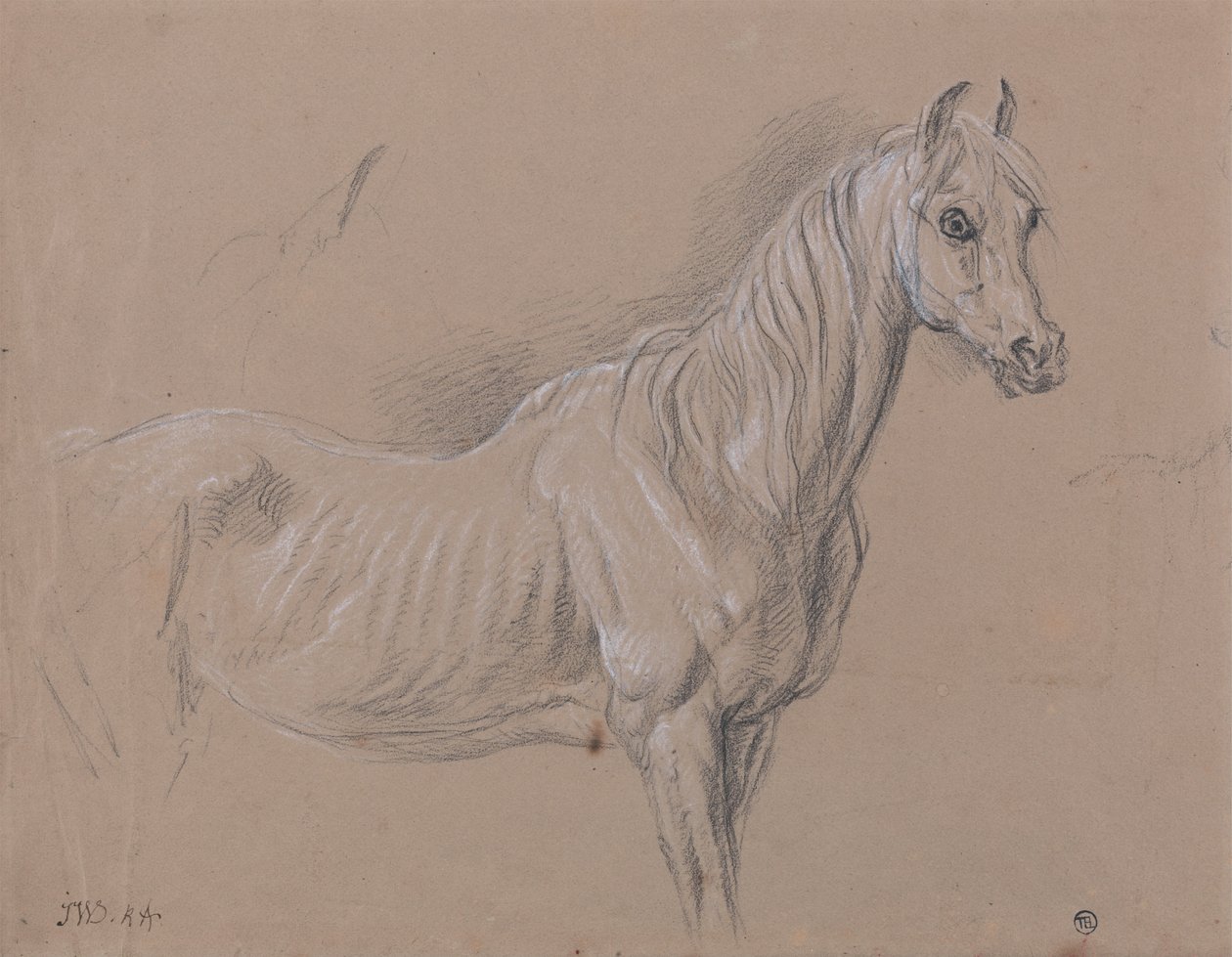 A Mare- Possibly a Study for L