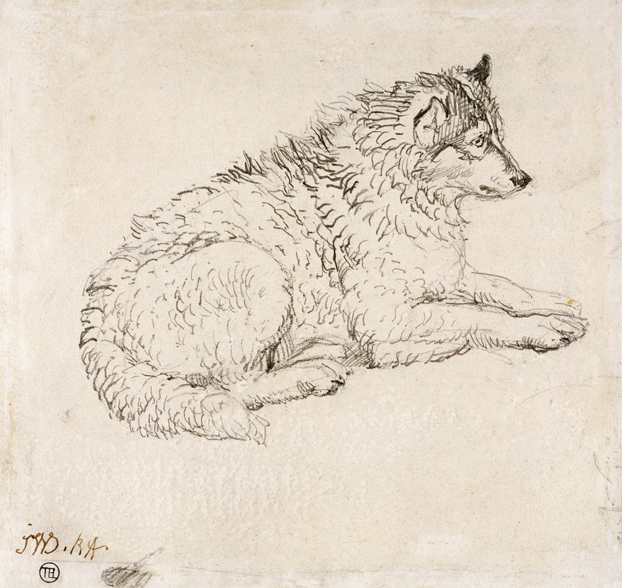 Arctic Dog, Facing Right by James Ward