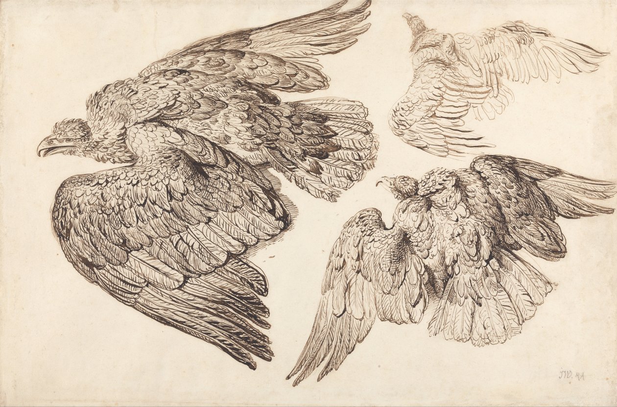 Eagles by James Ward