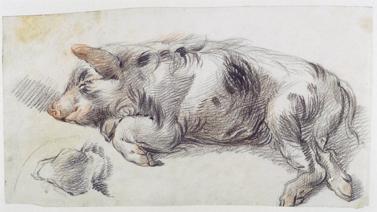 Sleeping Pig by James Ward