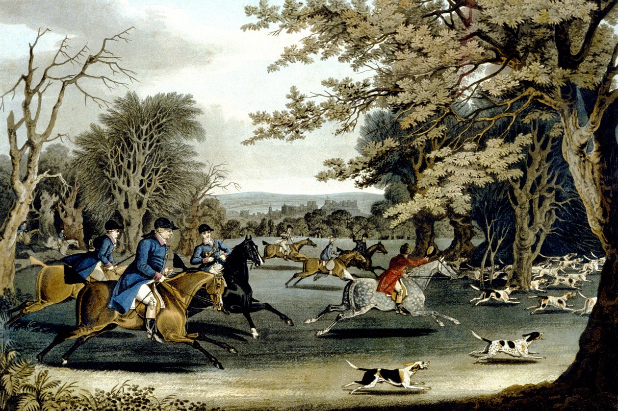 Royal Hunt in Windsor Park, Engraved by Matthew Dubourg by James (after) Pollard