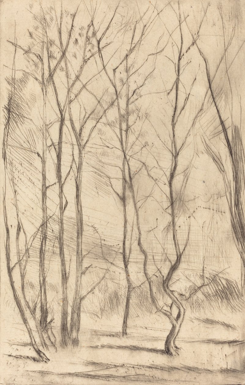 The Dam Wood by James Abbott McNeill Whistler