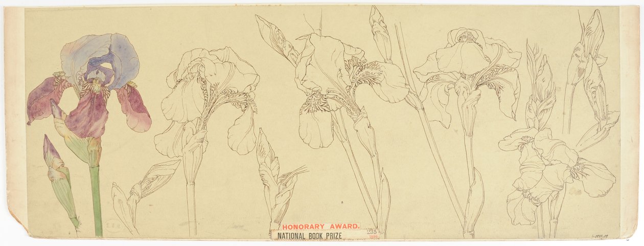 Botanical Studies by James Atherton