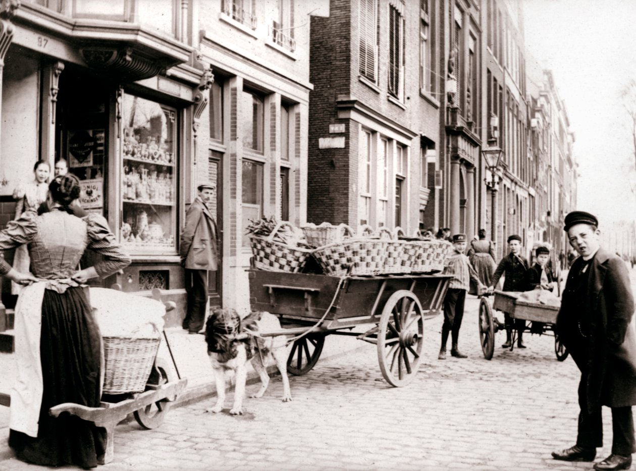 Dogcart, Antwerp, 1898 by James Batkin