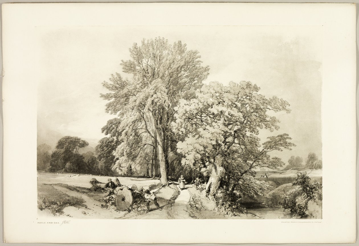 Abele and Oak, from The Park and the Forest by James Duffield Harding