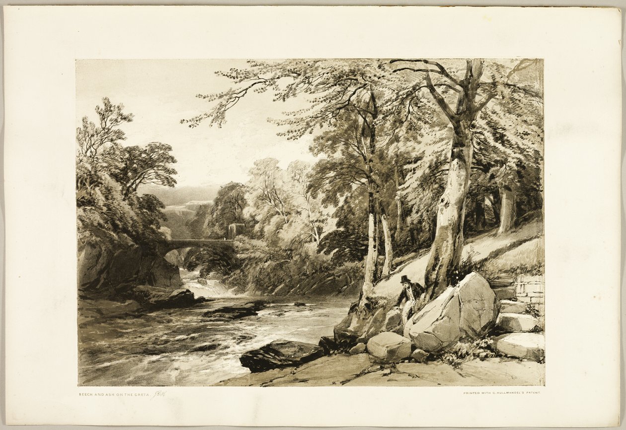 Beech and Ash on the Greta, from The Park and the Forest by James Duffield Harding