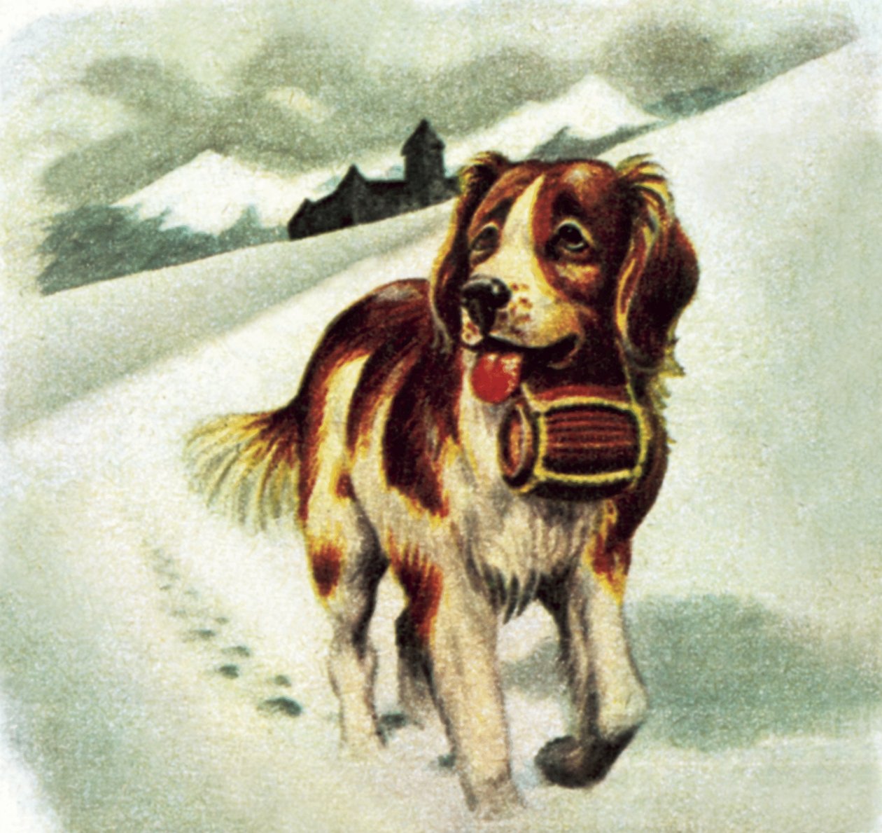 St Bernard Dog by James Edwin McConnell