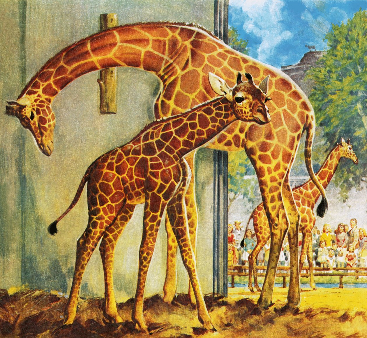 Virginia the Giraffe by James Edwin McConnell