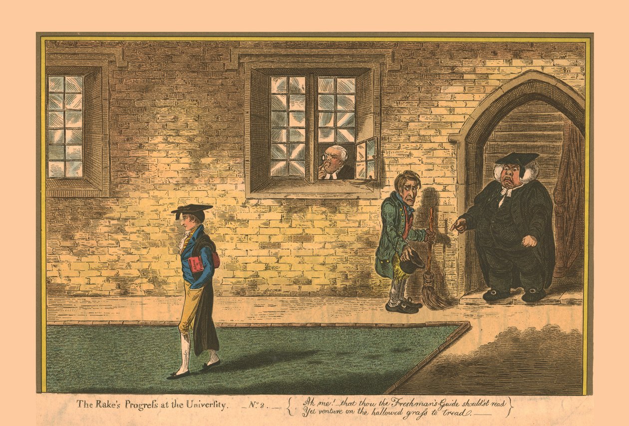 The Rake