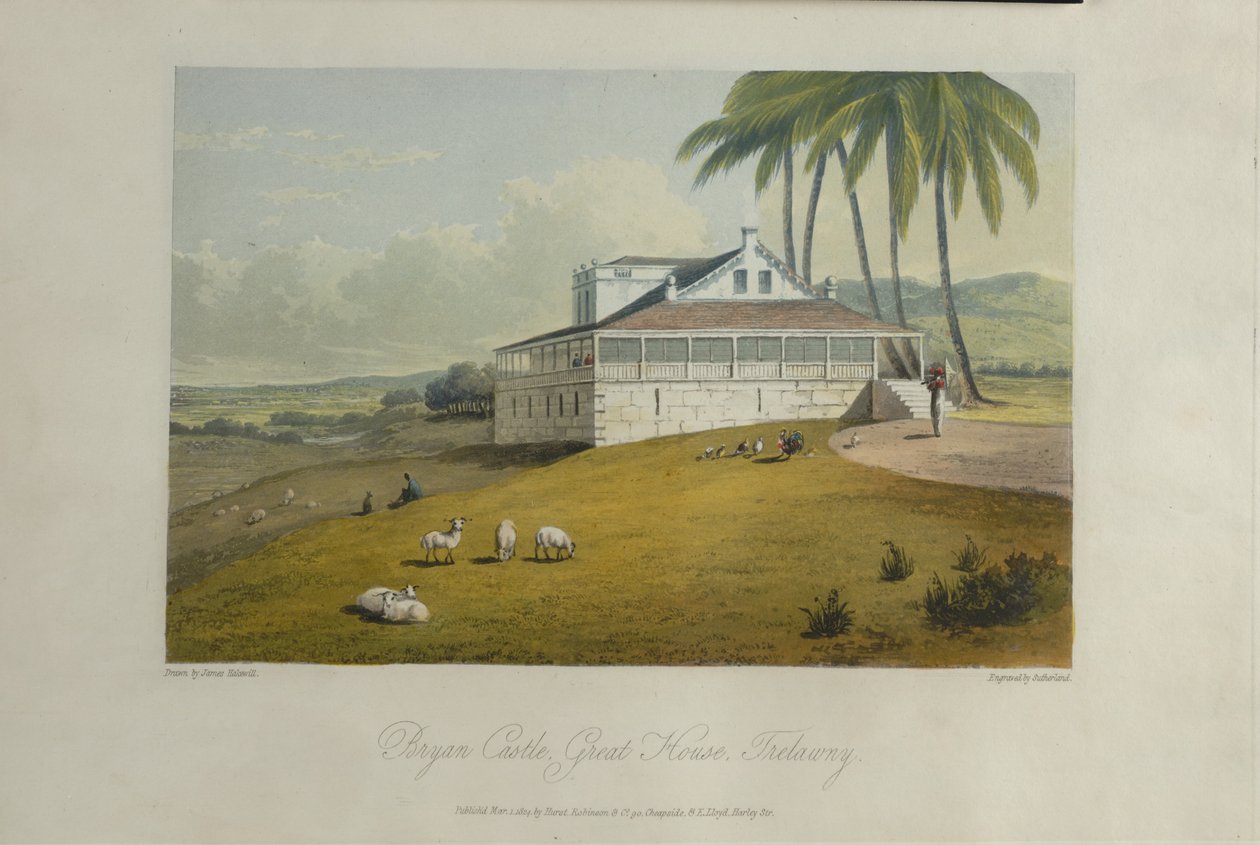Bryan Castle, illustration from 