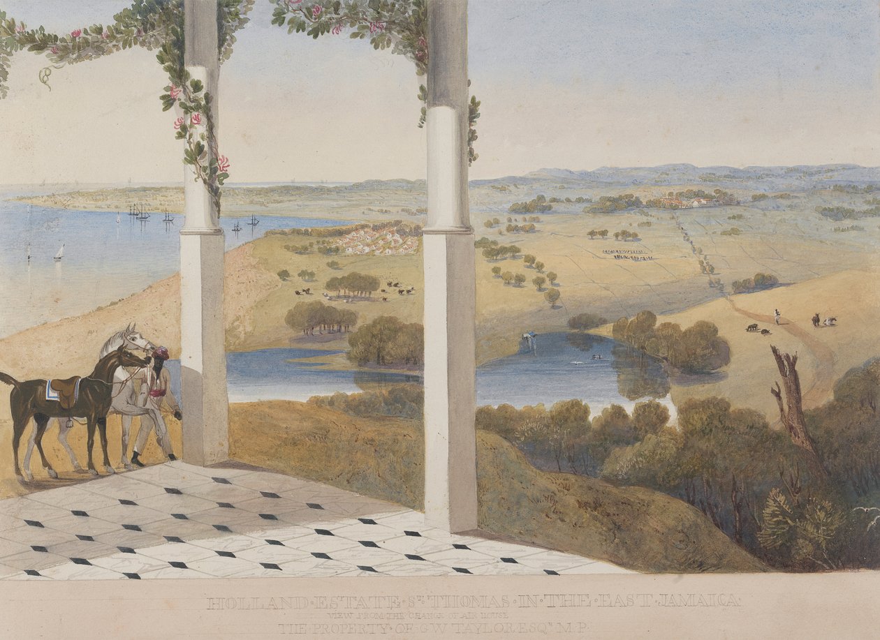 Holland Estate, St. Thomas in the East, View from the Change of Air House by James Hakewill