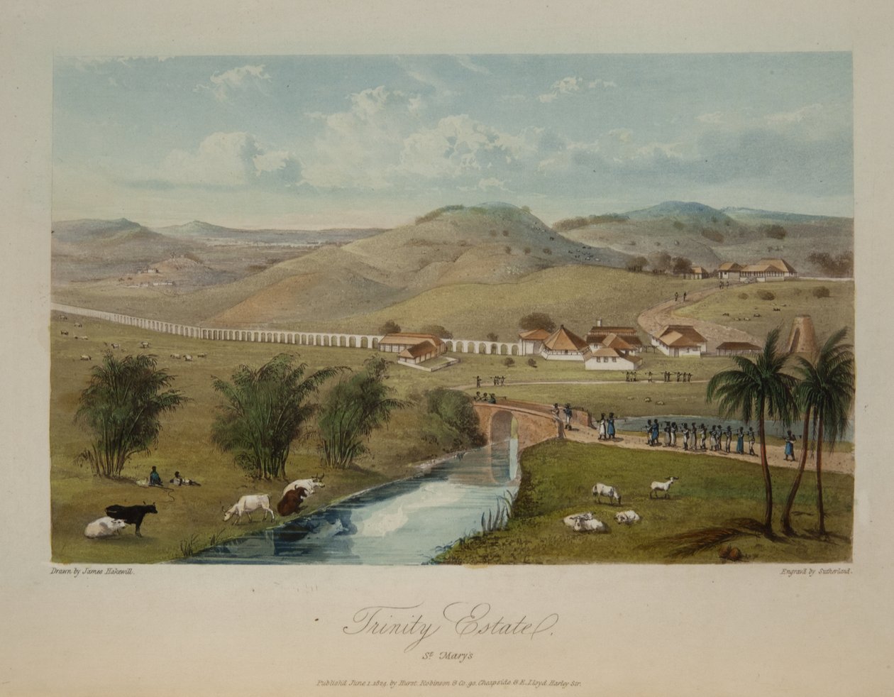 Trinity Estate. St. Mary