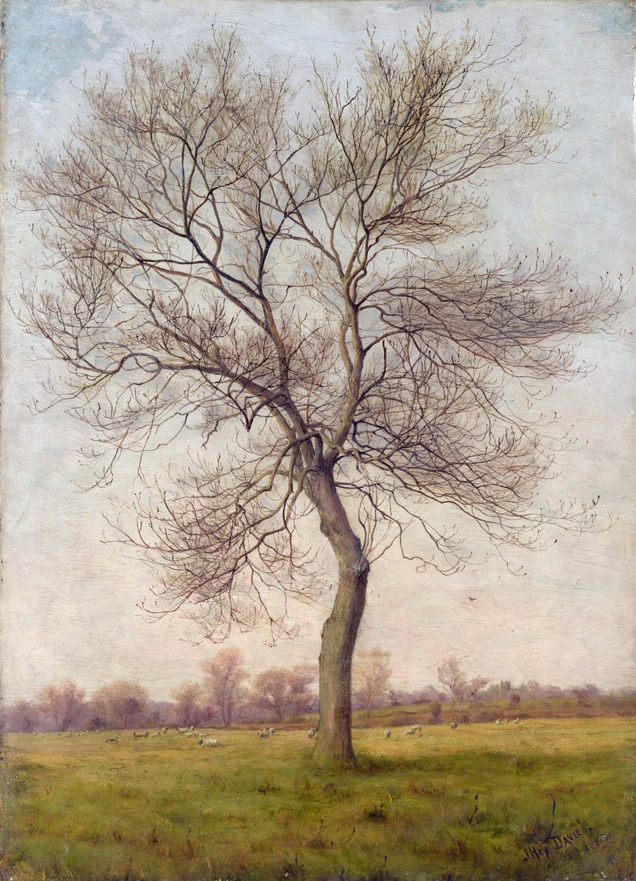 Study of an Ash Tree in Winter by James Hey Davies