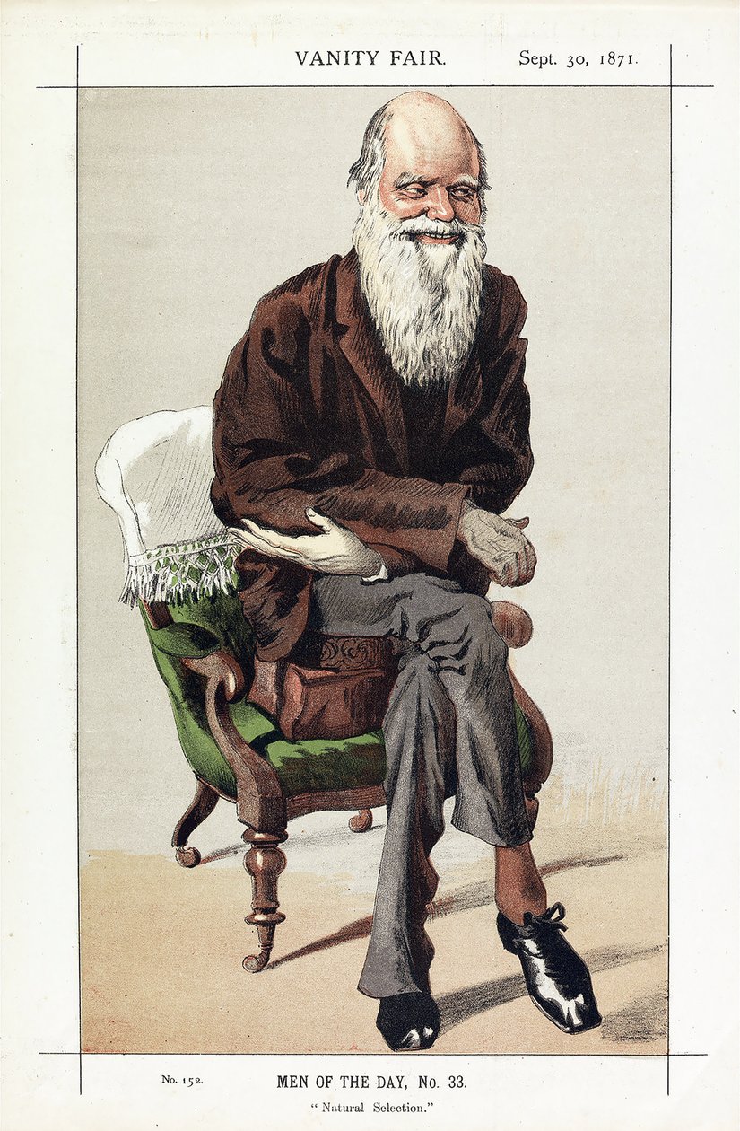 Charles Darwin, Men of the Day, No. 33, Natural Selection, from Vanity Fair, pub. 1871 by James Jacques Joseph Tissot