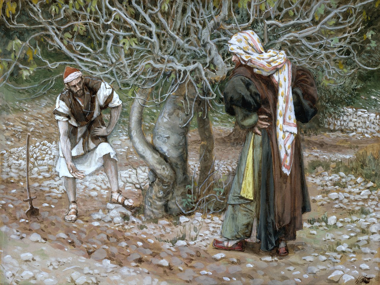 The Barren Fig Tree, Illustration for The Life of Christ by James Jacques Joseph Tissot