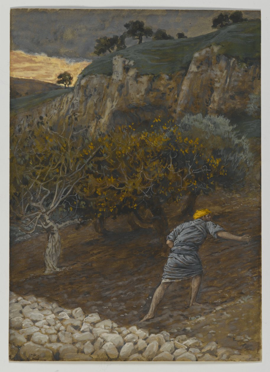 The Enemy Who Sows, illustration from The Life of Our Lord Jesus Christ by James Jacques Joseph Tissot