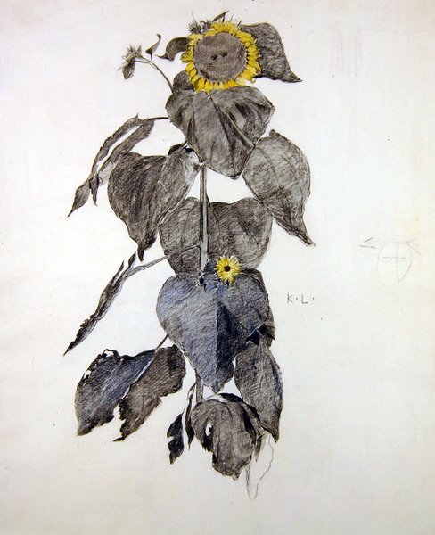 Sunflowers by James Kerr Lawson