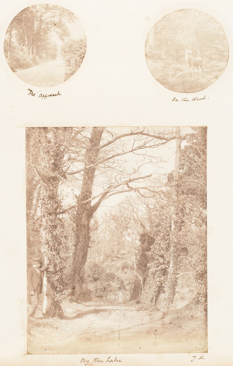 The Approach, In the Wood, By the Lake by James Knight
