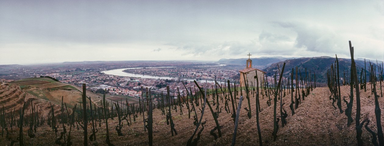 A vineyard overlooks the city and the Rhone River by James L Stanfield