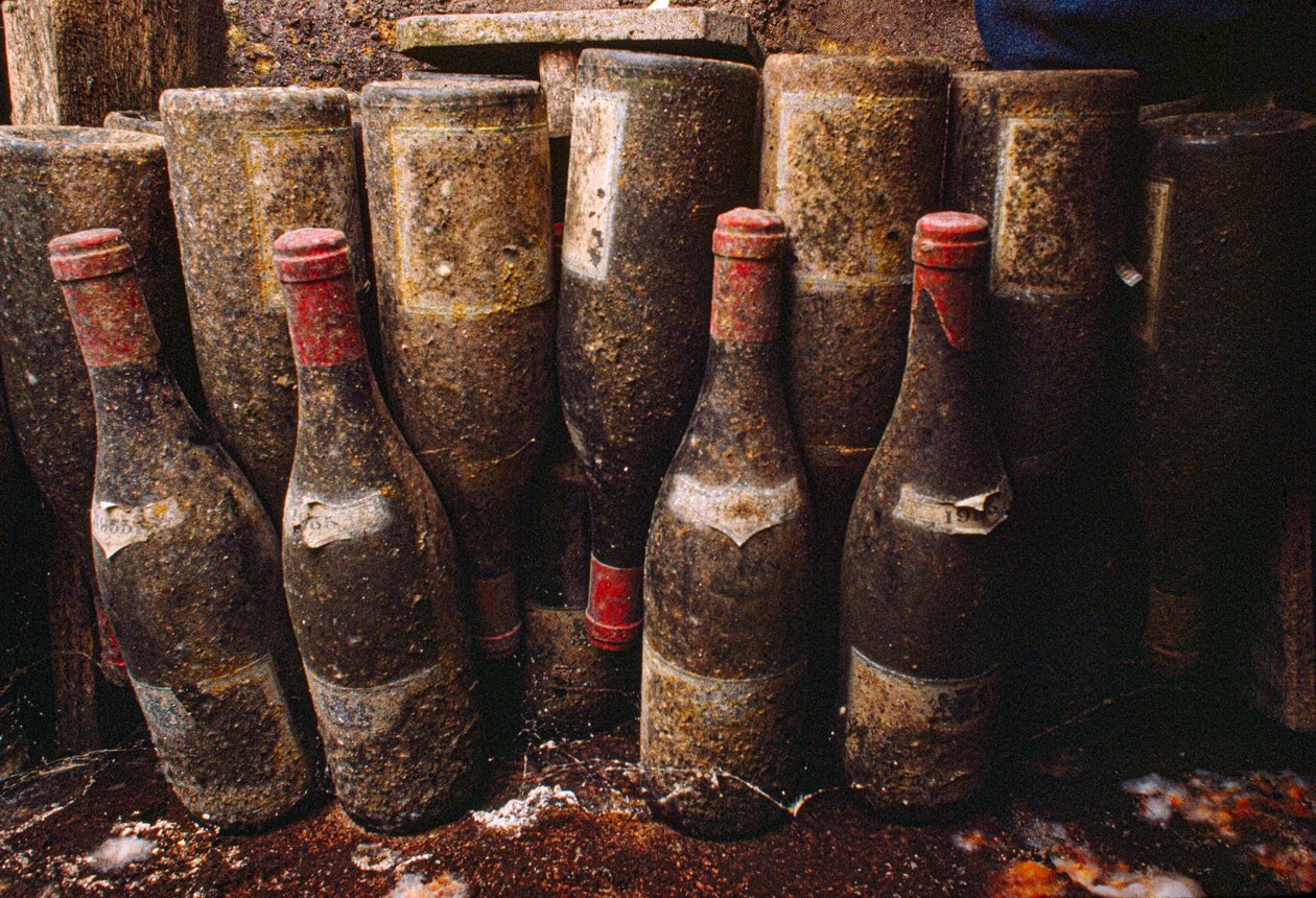 Red wine bottles, covered with mold, ageing in a wine cellar. Tain-L