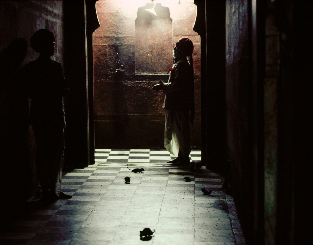 Sacred Rats Inhabit Karni Mata Temple to Hindu Goddess Bhagwati Karniji ...