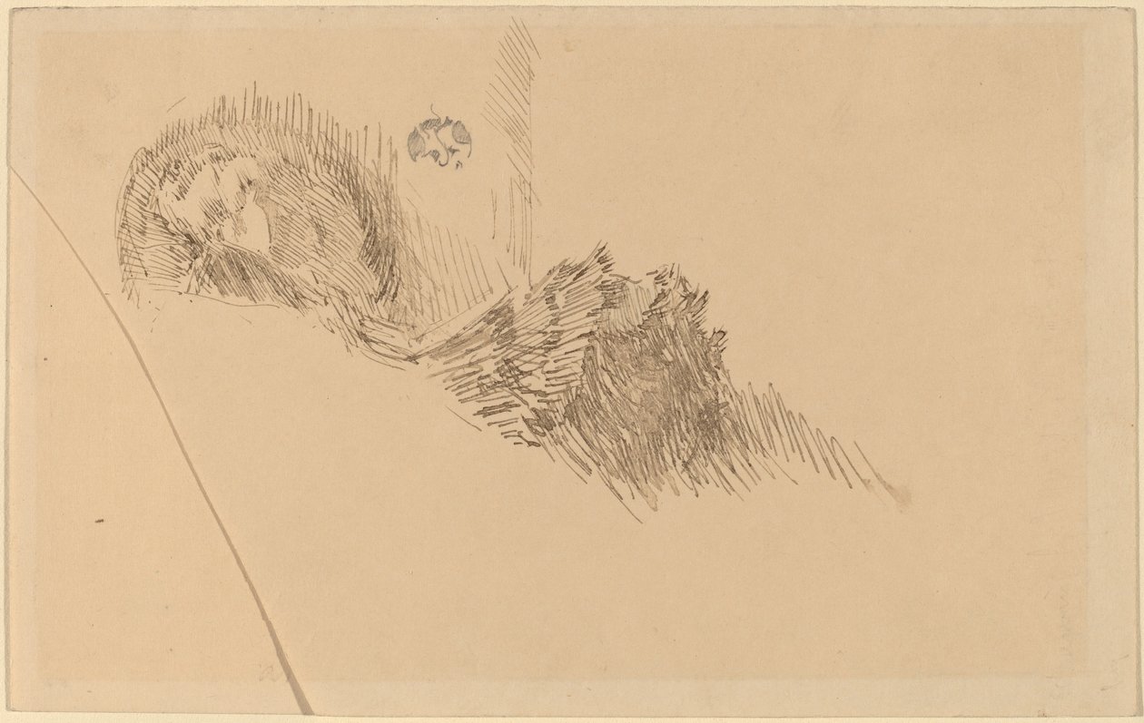 Mrs or Miss McNay by James Abbott McNeill Whistler