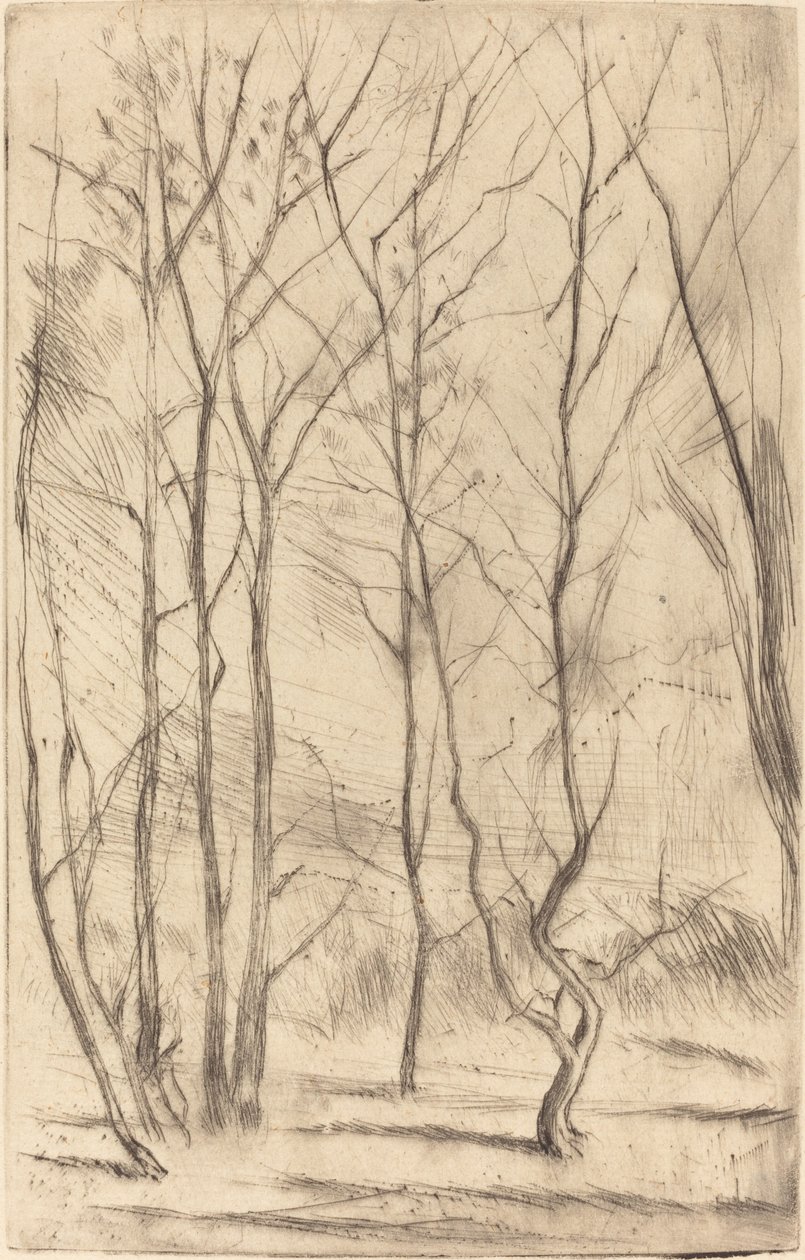 The Dam Wood by James Abbott McNeill Whistler
