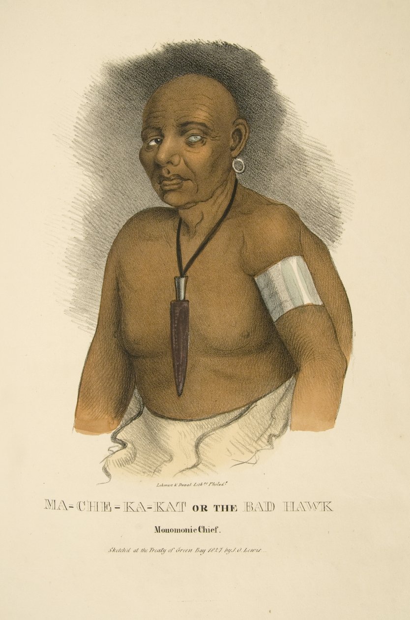 Ma-che-ka-kat or the Bad Hawk by James Otto Lewis